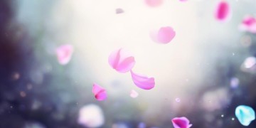 我的爱为谁放纵究竟是哪首歌？