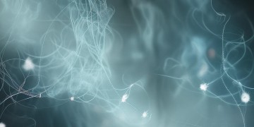 醒来知千愁究竟出自哪首歌？