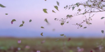 所有的泪都风干了出自哪首歌？