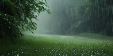如果天要下雨我不会躲避出自哪首歌？