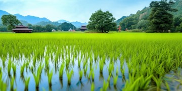 欢迎你到田阳来究竟出自哪首歌？