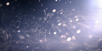 偷偷关注我究竟是哪首歌？