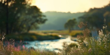 与你朝朝暮暮究竟是哪首歌？