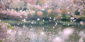 女儿美不美这首歌究竟是什么歌？