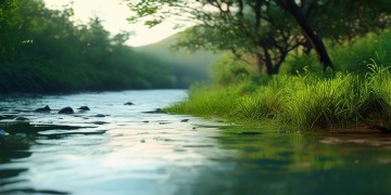 无心何苦再用心究竟是哪首歌？