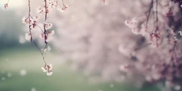 告别我的忧伤过往出自哪首歌？