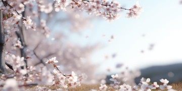 绝不会来了是哪首歌里的歌词？