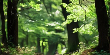 那首关于明天星期六上课的歌究竟叫什么？