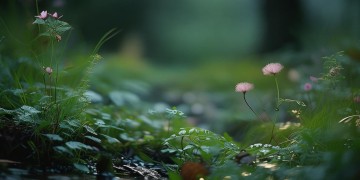蠢蠢又如何究竟是哪首歌？