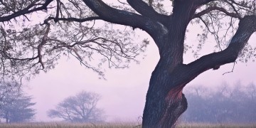 坐如钟站如松出自哪首歌？