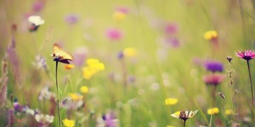 活着就要学会微笑出自哪首歌？