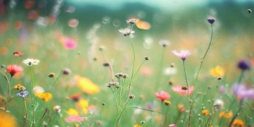 55岁以后的我们究竟是哪首歌？