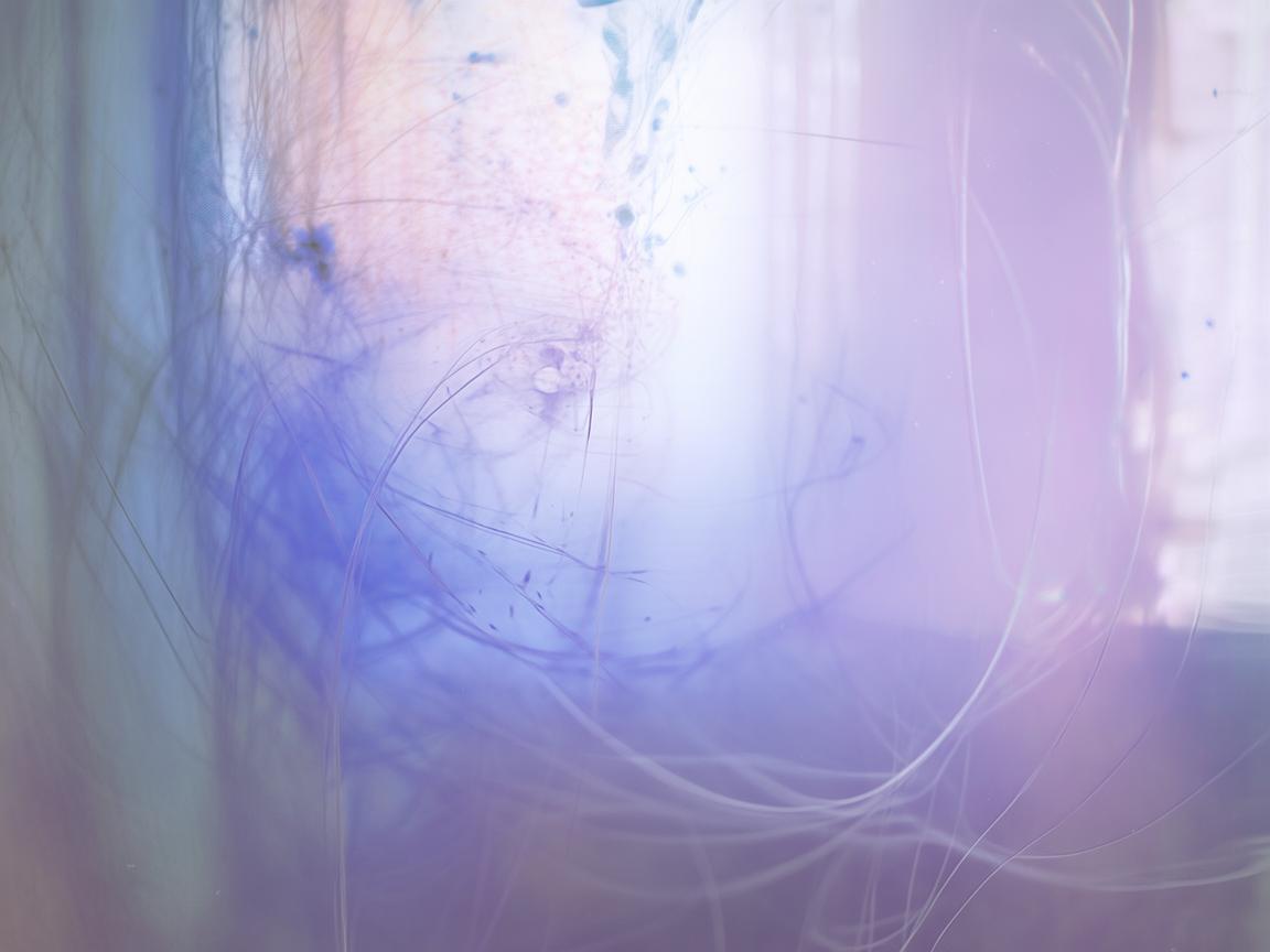 早就知道该放手是哪首歌？