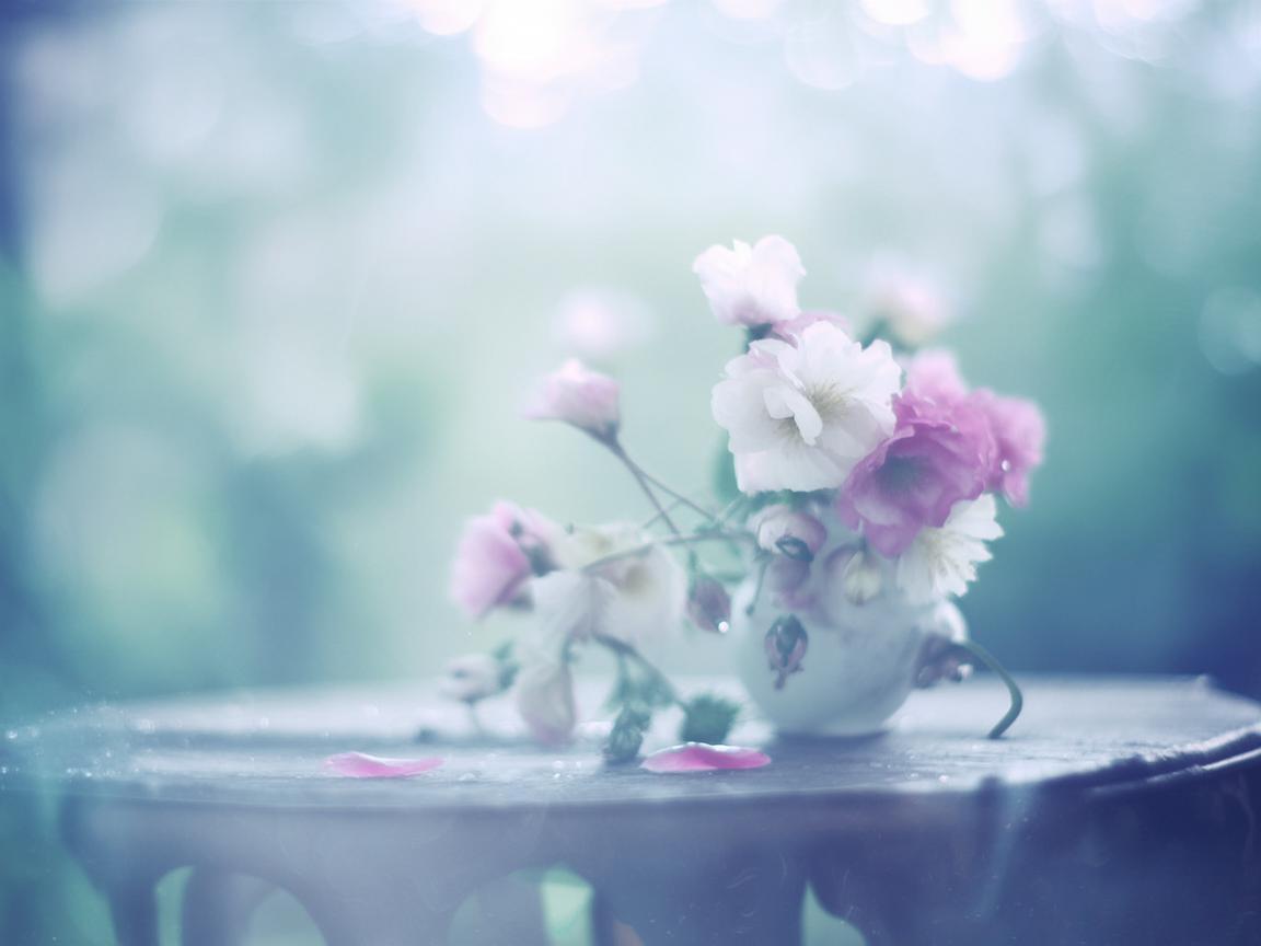 他就是这种感觉究竟是哪首歌？