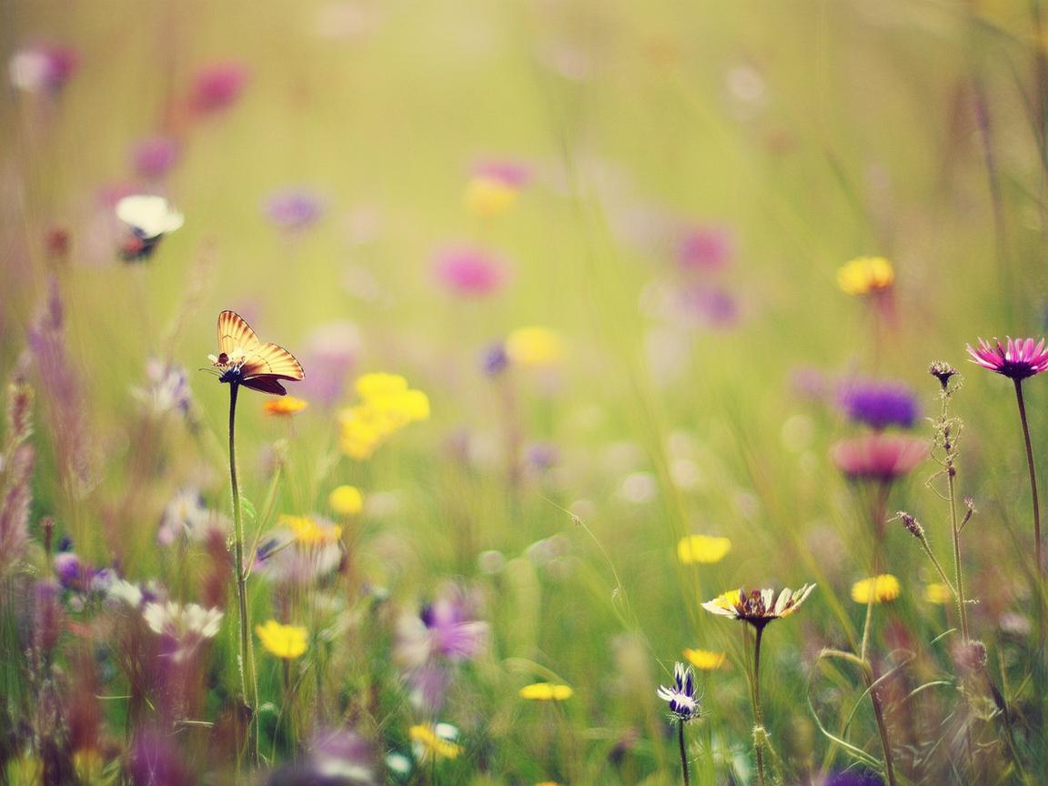 活着就要学会微笑出自哪首歌? 活着就要学会微笑出自哪首歌?