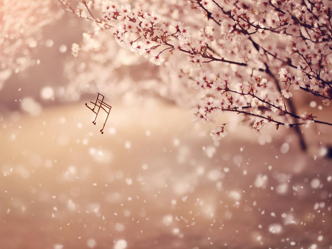 你快乐我流泪究竟是哪首歌? 你快乐我流泪究竟是哪首歌?